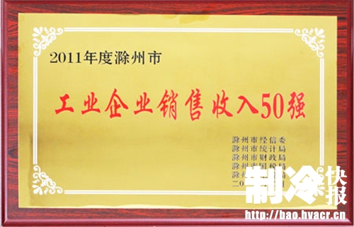 收入证明_年度销售收入(2)