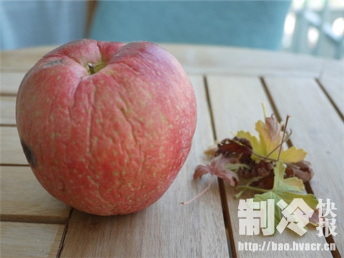 冷库也要做保湿,不然果蔬也会变丑的!