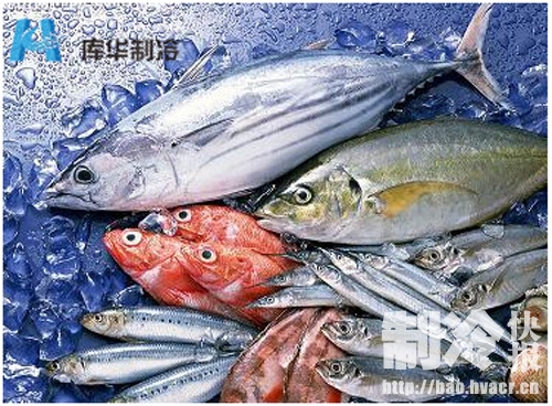 基尾虾是海鲜吗_邵阳的这家清蒸食,让你原汁原味品尝小海鲜！