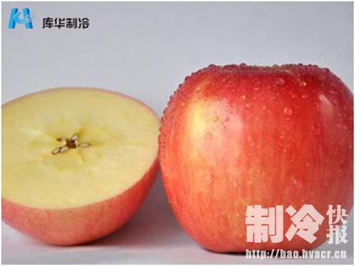 大型苹果保鲜冷库造价