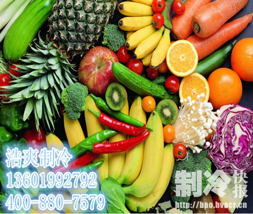 蔬菜水果在冷库中能保存多久?上海哪家公司值
