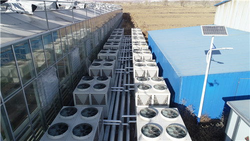农业大棚冬季供暖设备选择纽恩泰空气能,备受用户赞许