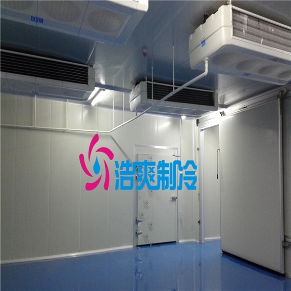 100平方米2～8℃药品冷库建造，冷库总价格多少-制冷快报
