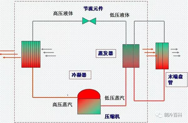索芙特防脱