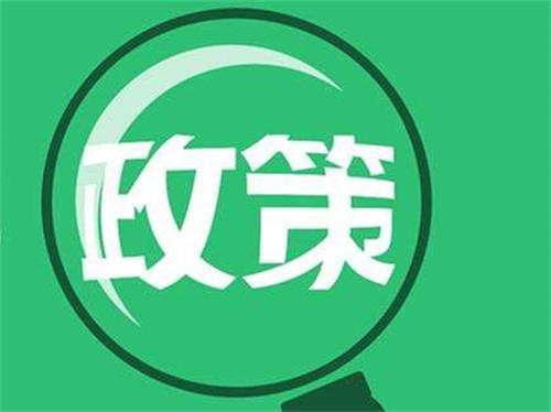 政策