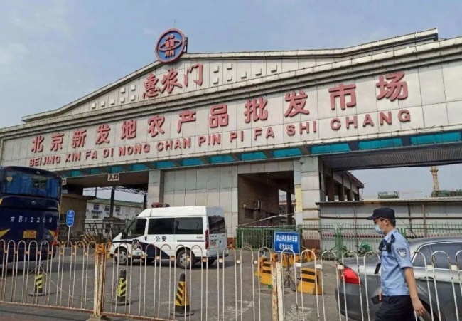 进口冻品