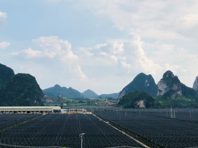 冷链物流